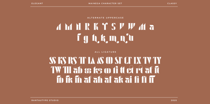 Maidega Font Poster 15