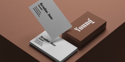 Maidega Font Poster 13