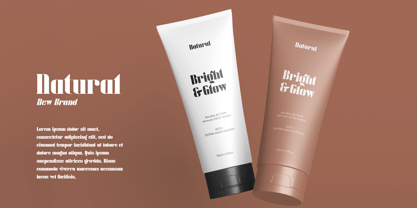 Maidega Font Poster 2