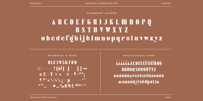 Maidega Font Poster 14