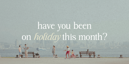 Highhope Serif Font Poster 3