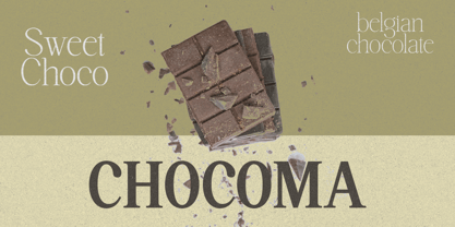 Highhope Serif Font Poster 10