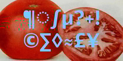 Anona Font Poster 5