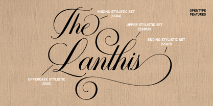 Gervia Font Duo Font Poster 9