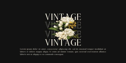 Debreak Font Poster 4