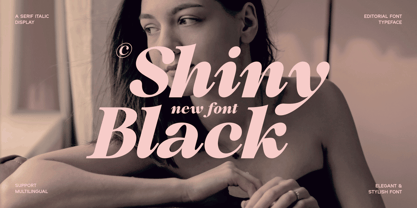 Shiny Black Font Poster 1