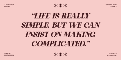 Shiny Black Font Poster 4