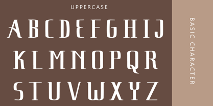 Russtan Javenes Font Poster 7