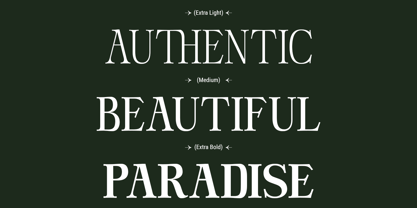 DT Hebrinks Font Poster 6