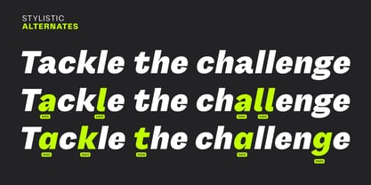 Gintona Sans Font Poster 6