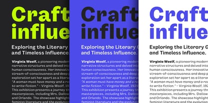 Gintona Sans Font Poster 12