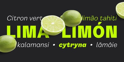 Gintona Sans Font Poster 5