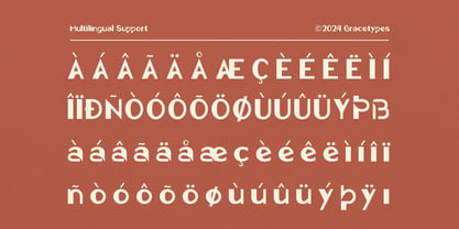 Picky Fredy Font Poster 11