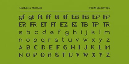 Picky Fredy Font Poster 12