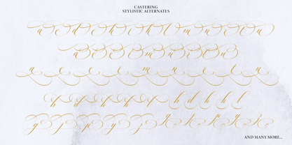 Castering Font Poster 12