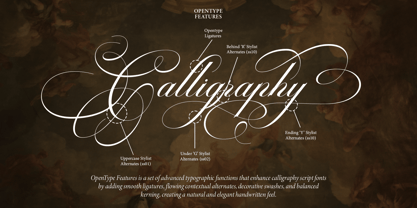 Castering Font Poster 9