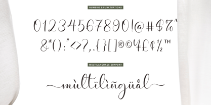 Celindine Font Poster 14