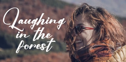 Mega Selgin Font Poster 5