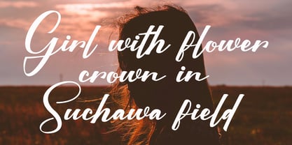 Mega Selgin Font Poster 3