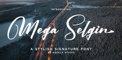 Mega Selgin Font Poster 1