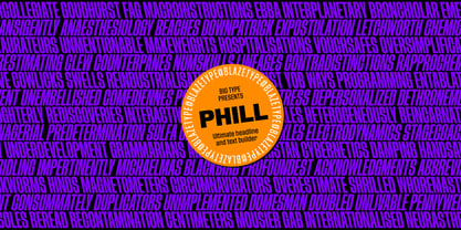 Phill Variable Font Poster 9