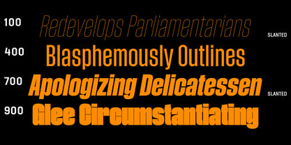 Phill Variable Font Poster 7