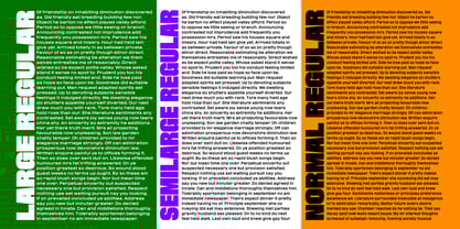 Phill Variable Font Poster 6