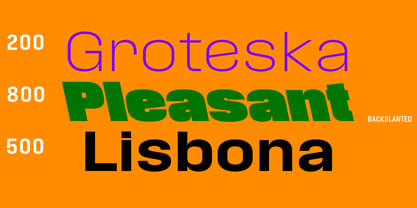 Phill Variable Font Poster 8