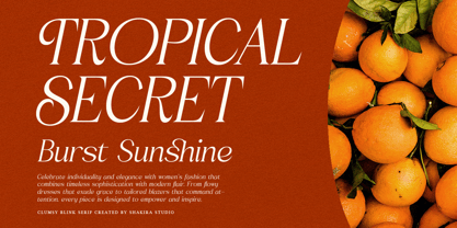 Clumsy Blink Font Poster 3