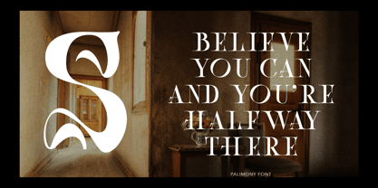 Palimony Font Poster 12