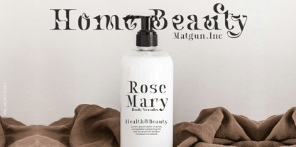 Palimony Font Poster 11