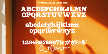 Seyork Font Poster 12