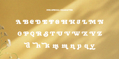 Seyork Font Poster 11