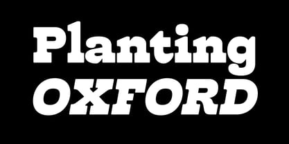 Totokin Font Poster 5