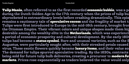 Totokin Font Poster 3