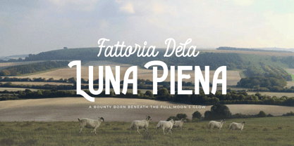 Gianpaolo Palmeri Font Poster 2