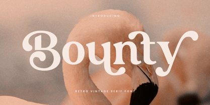 Bounty Font Poster 1