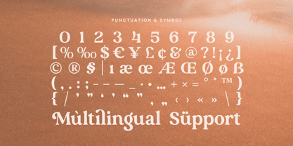 Bounty Font Poster 13