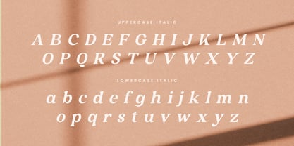 Bounty Font Poster 12