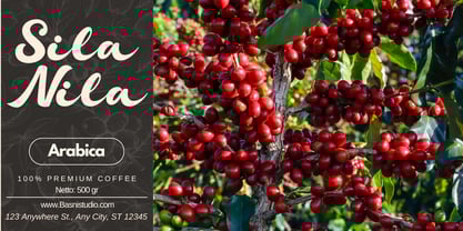 Millane Font Poster 7