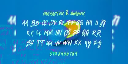 Rofas Brush Font Poster 3