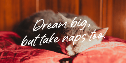 Quirky Rushy Font Poster 6