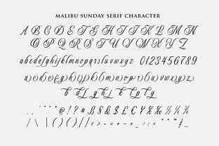 Malibu Sunday Font Poster 11