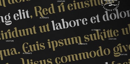 Korbiya Font Poster 6