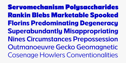 FBS Chopen Font Poster 3