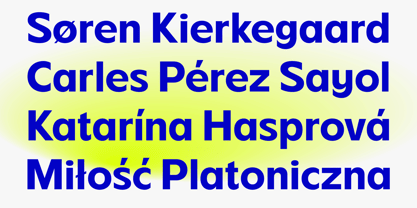 FBS Chopen Font Poster 9