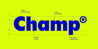 FBS Chopen Font Poster 7