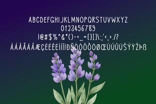 Spring Embrace Font Poster 6