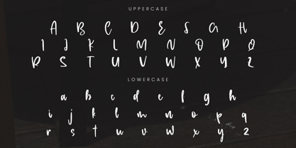 Claseva Font Poster 11