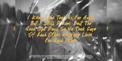 Koxtreitz Font Poster 9